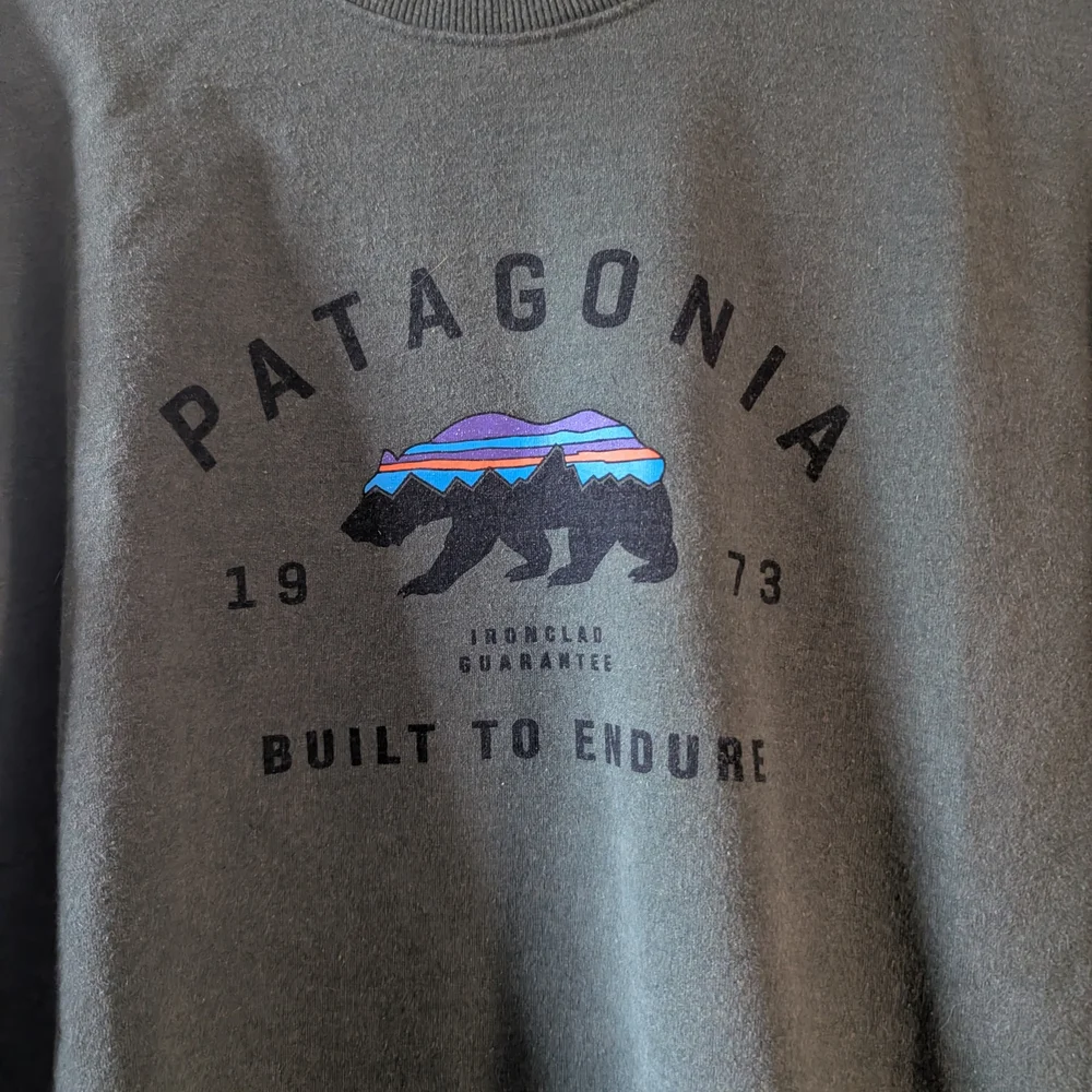 Patagonia Arched Fitz Roy Bear Crew Neck Size L - Picture 3 of 7
